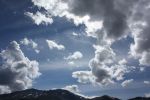 IMG_3615.jpg