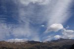 IMG_0958.jpg