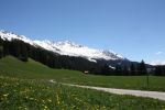 IMG_4204.jpg