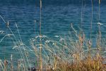 IMG_2648.jpg