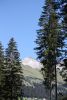 IMG_7298.JPG