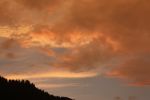 IMG_1710.jpg