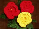 Rose-klein_1.jpg
