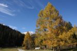 IMG_6167.jpg