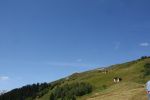 IMG_1668.jpg