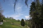 IMG_4347.jpg