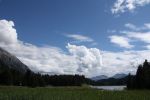 IMG_5135.jpg