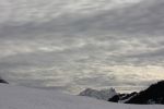 IMG_8417.jpg