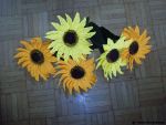 Sonnenblumen.jpg