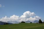 IMG_0254.jpg