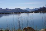 IMG_7886.JPG
