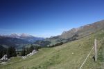 IMG_7879.JPG