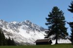 IMG_1684.jpg