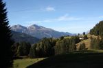 IMG_3686.jpg