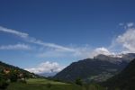 IMG_4546.jpg